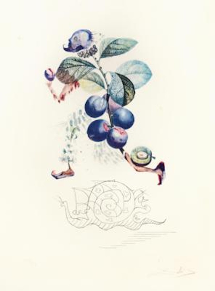 "Prunier hatif" by Salvador Dali