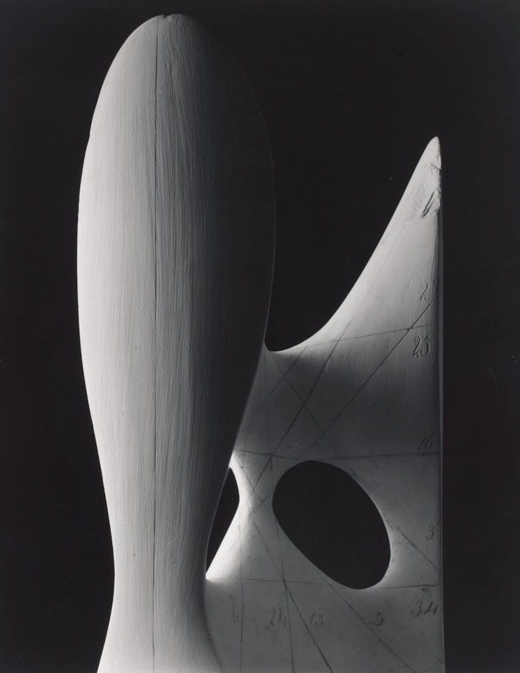 Mathematical Form: Surface 0012 (Diagonal Clebsch surface, cubic with 27 lines) by Hiroshi Sugimoto