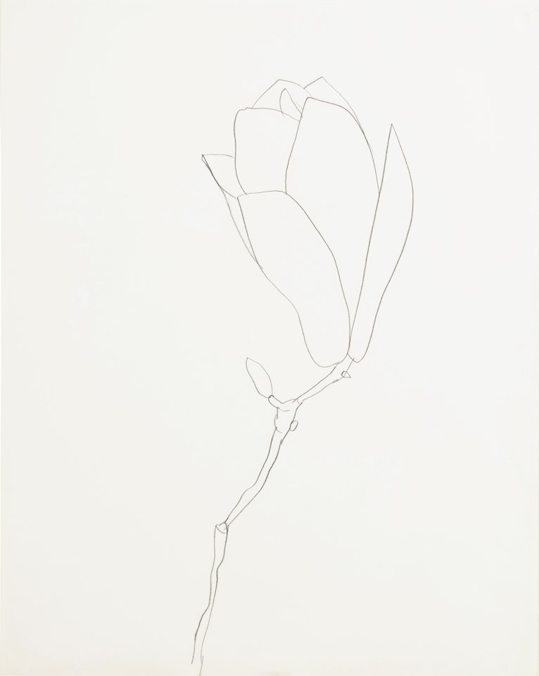 Magnolia by Ellsworth Kelly