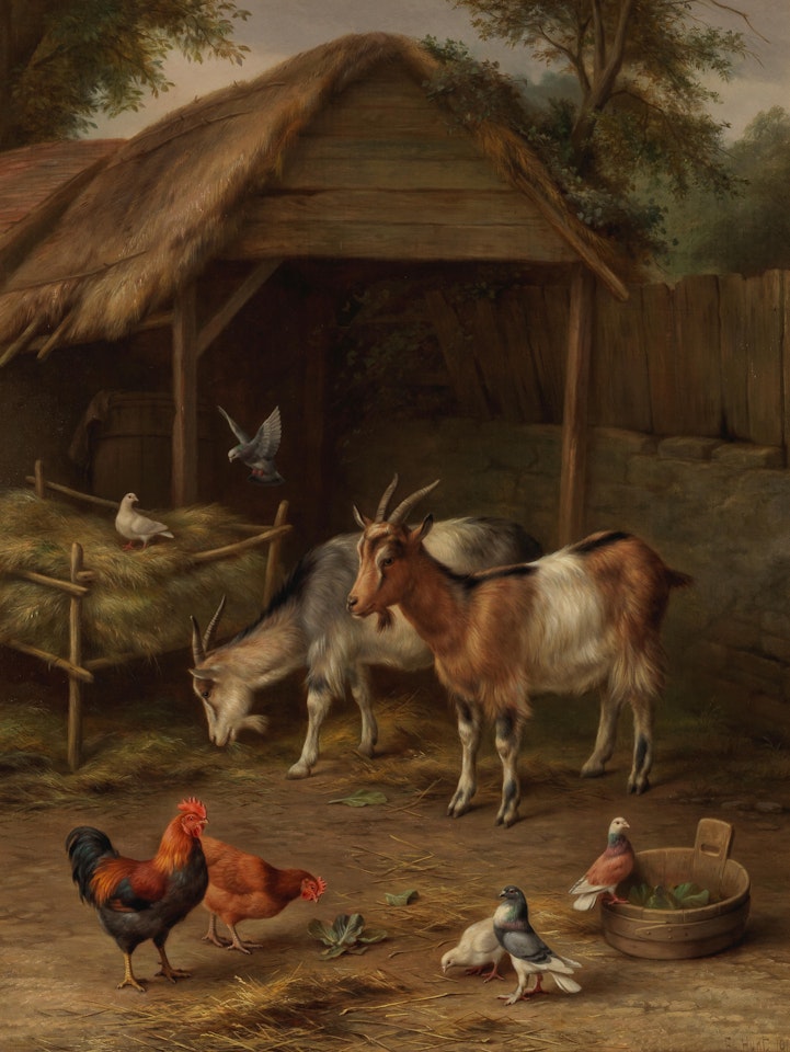Hens and goats in the farmyard by Edgar Hunt