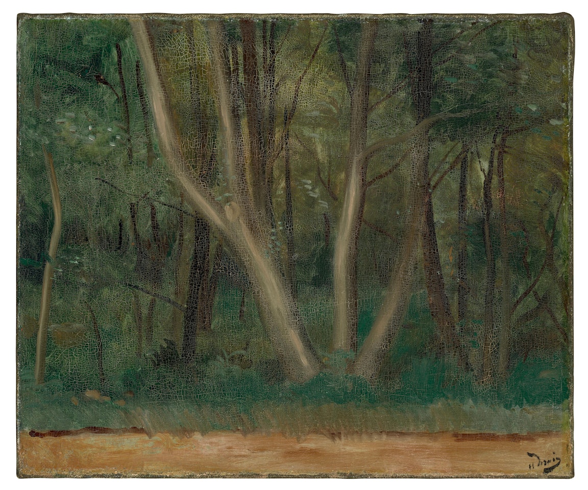 Le sentier à Bandol by Andre Derain