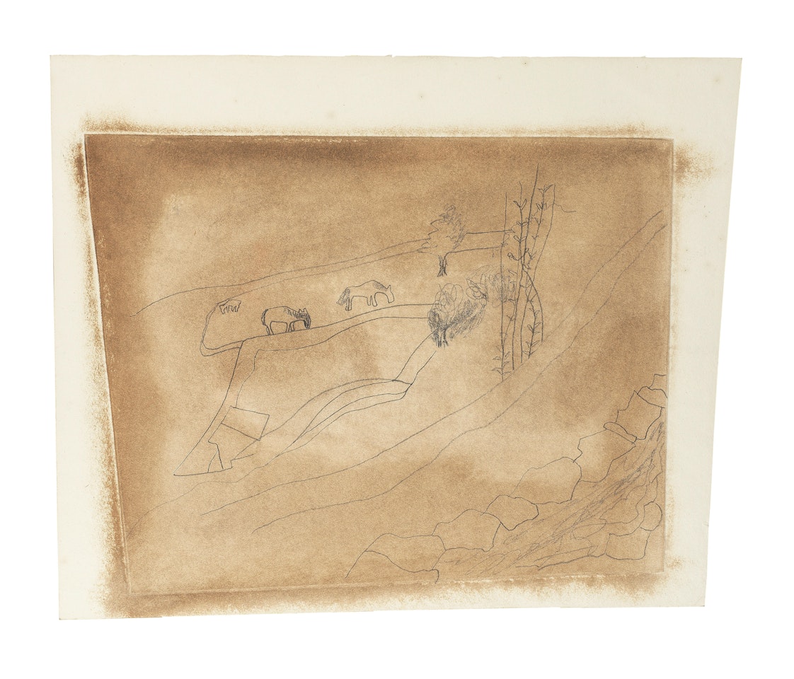 Brown Wharfedale  by Ben Nicholson, O.M.