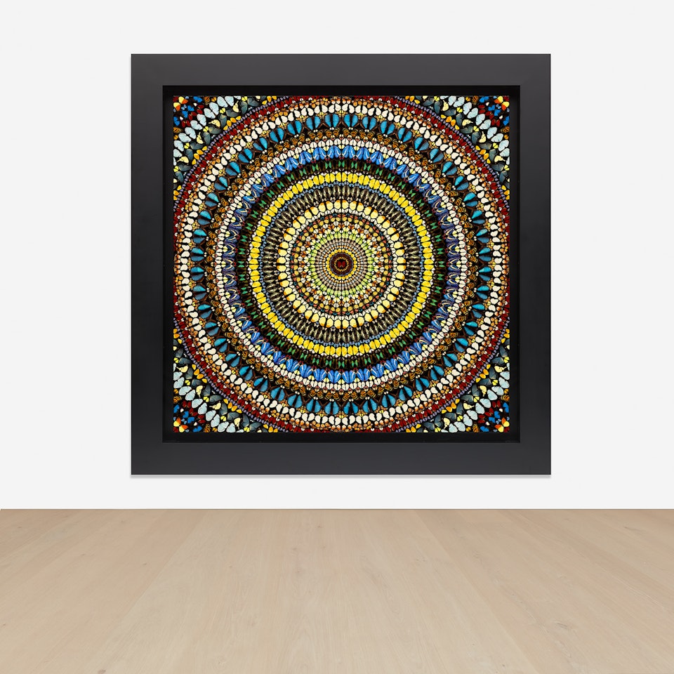 Covenant by Damien Hirst