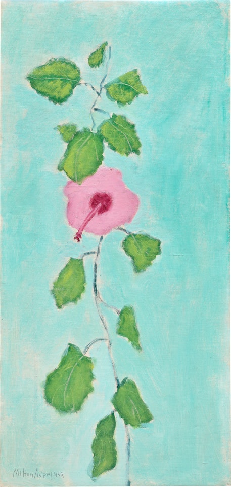 Flower by Milton Avery