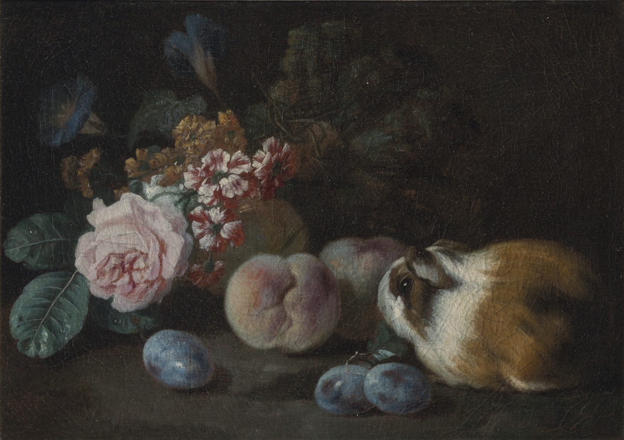 Nature morte aux bouquet de fleurs, prunes, pêches et cochon d'Inde by Franz Werner von Tamm