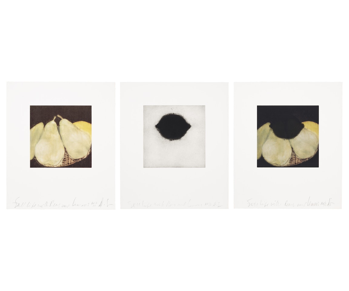 Still Life with Pears and Lemons by Donald Sultan