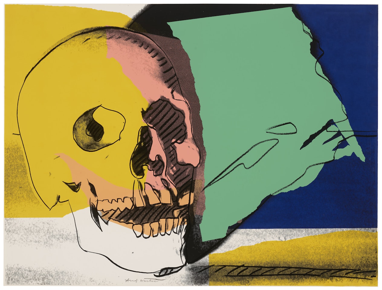 Skulls: one print by Andy Warhol