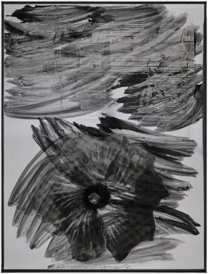 Paulina Express (Night Shade) by Robert Rauschenberg