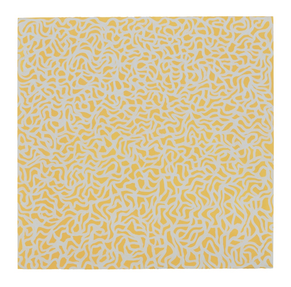 Irregular Grid by Sol LeWitt