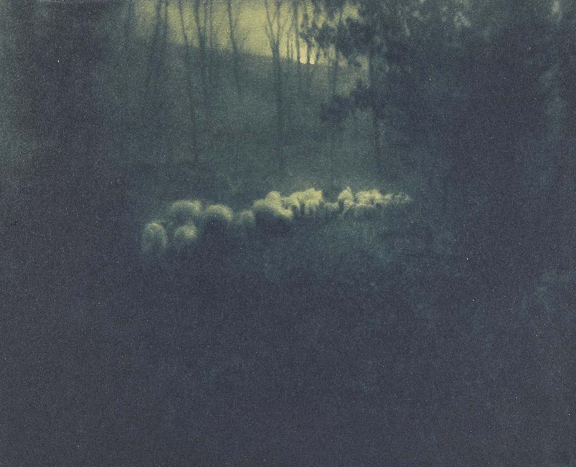 Pastoral - Moonlight by Edward Steichen