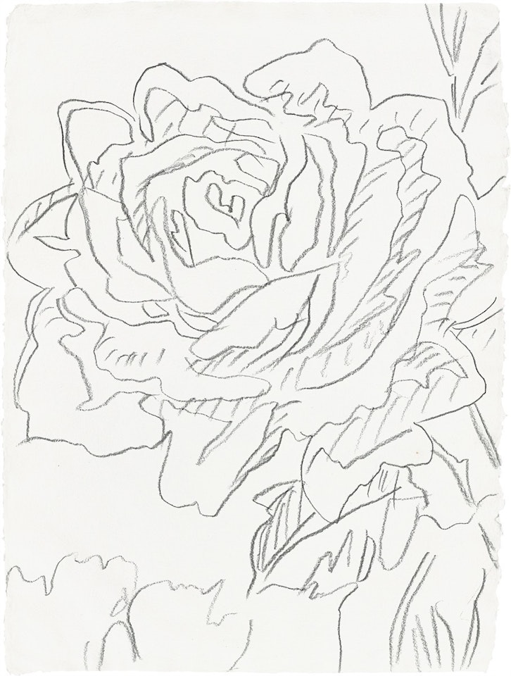 Rose by Andy Warhol