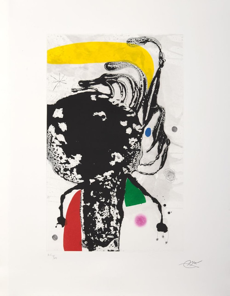 L'Écumante by Joan Miró