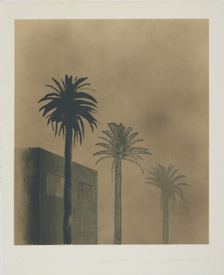 Dark Mist (Scottish Arts Council, 134) by David Hockney