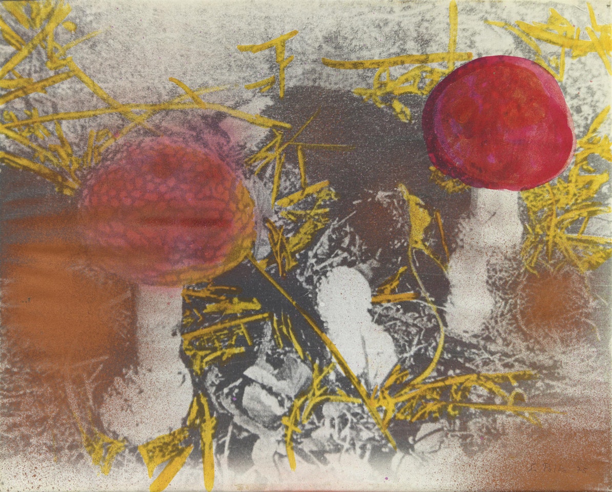 Untitled by Sigmar Polke