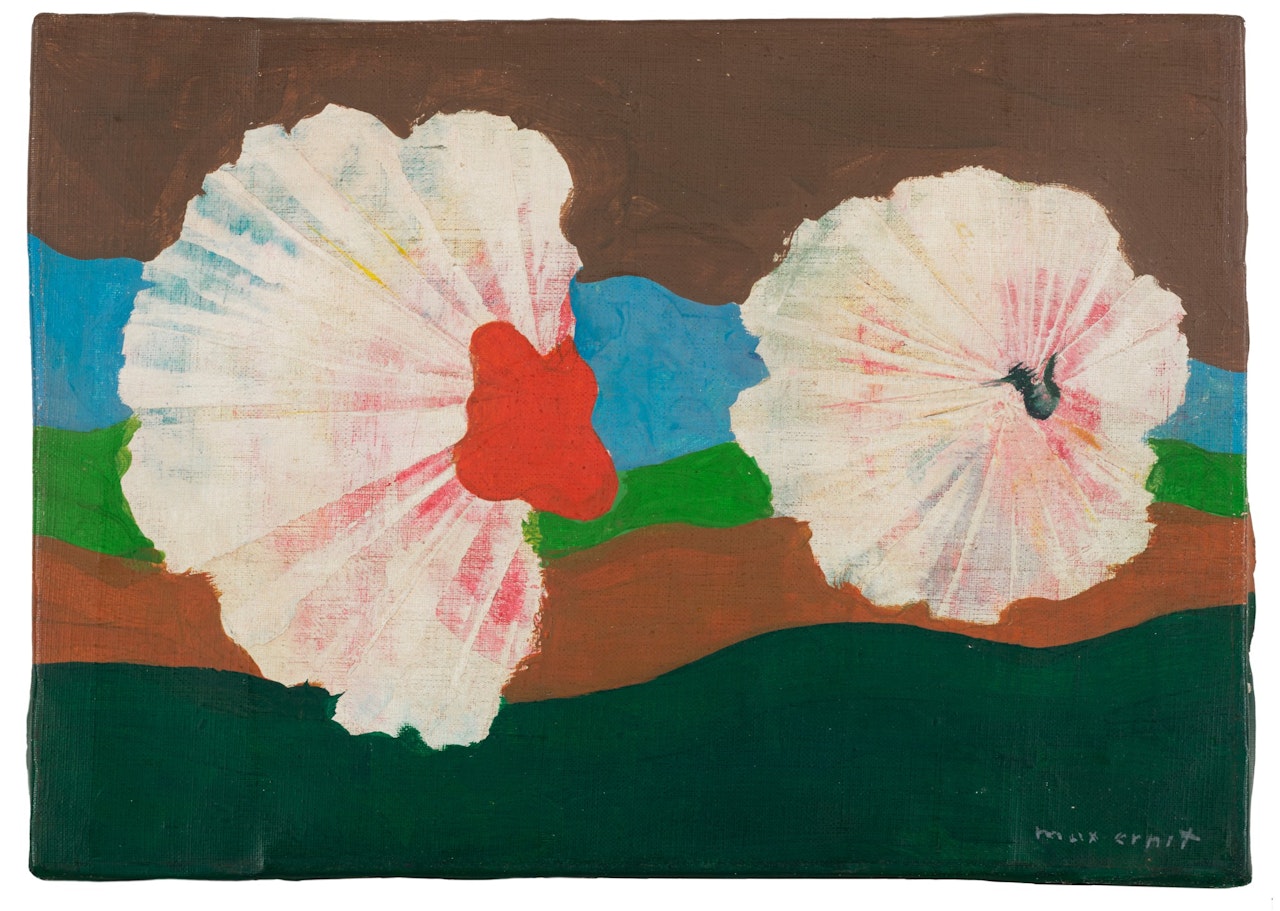Fleurs-coquillages by Max Ernst