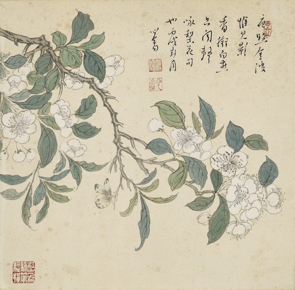 Pear Blossoms and Butterfly by Pu Ru