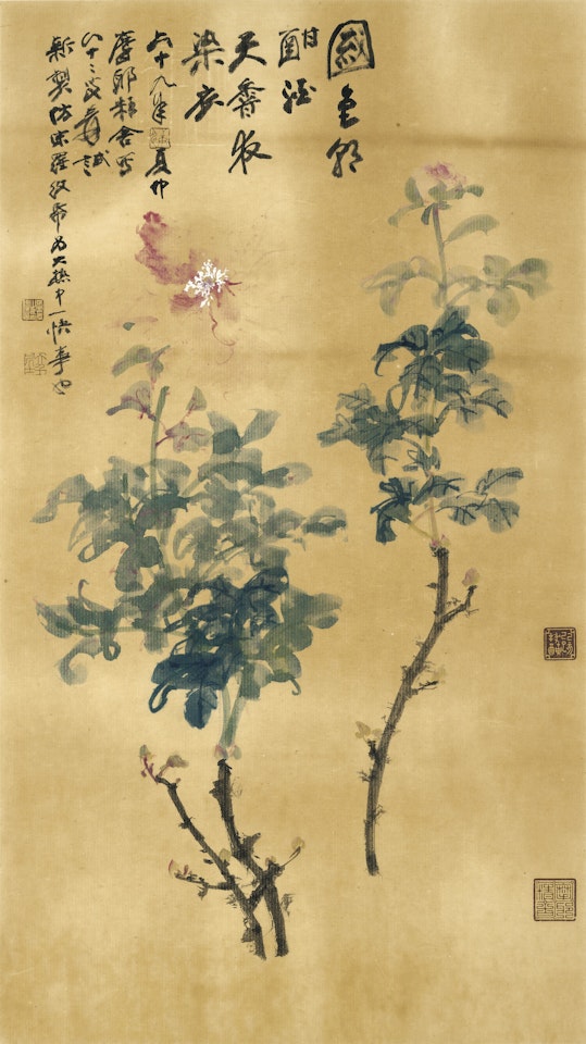Peonies by Zhang Daqian