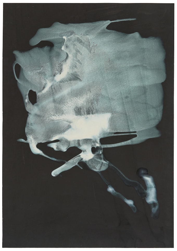 Untitled by Sigmar Polke