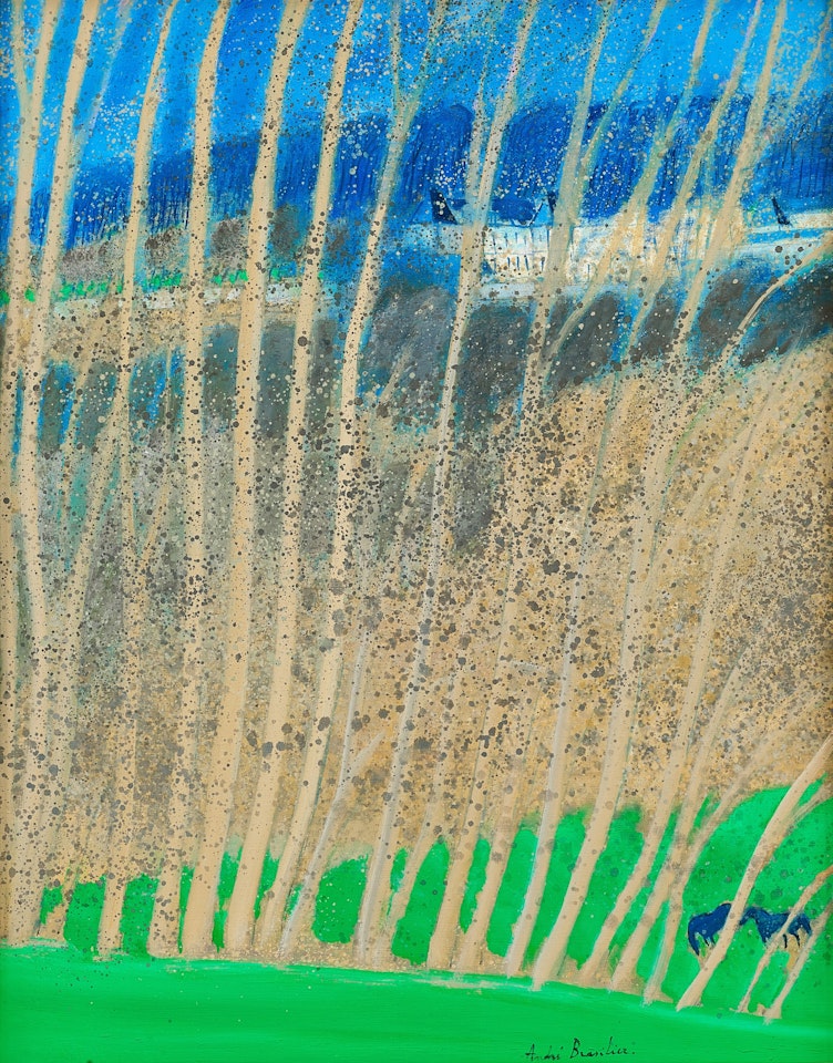 A travers les branches 透過樹叢間 by André Brasilier