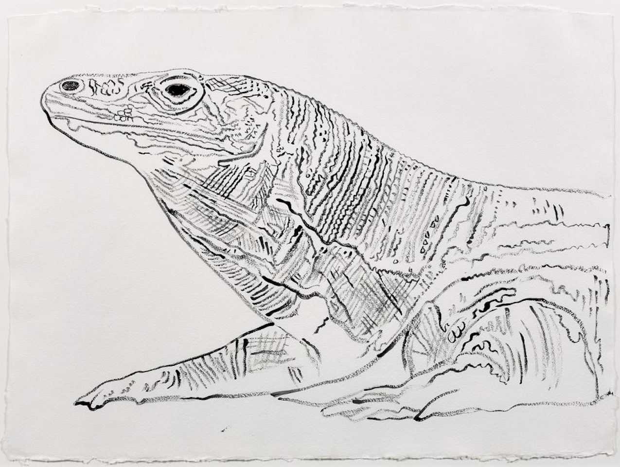 Vanishing animals, Komodo monitor by Andy Warhol