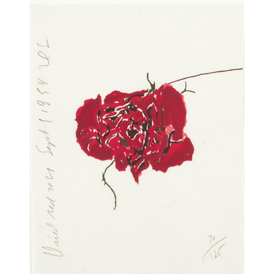 Dried Red Rose by Donald Sultan