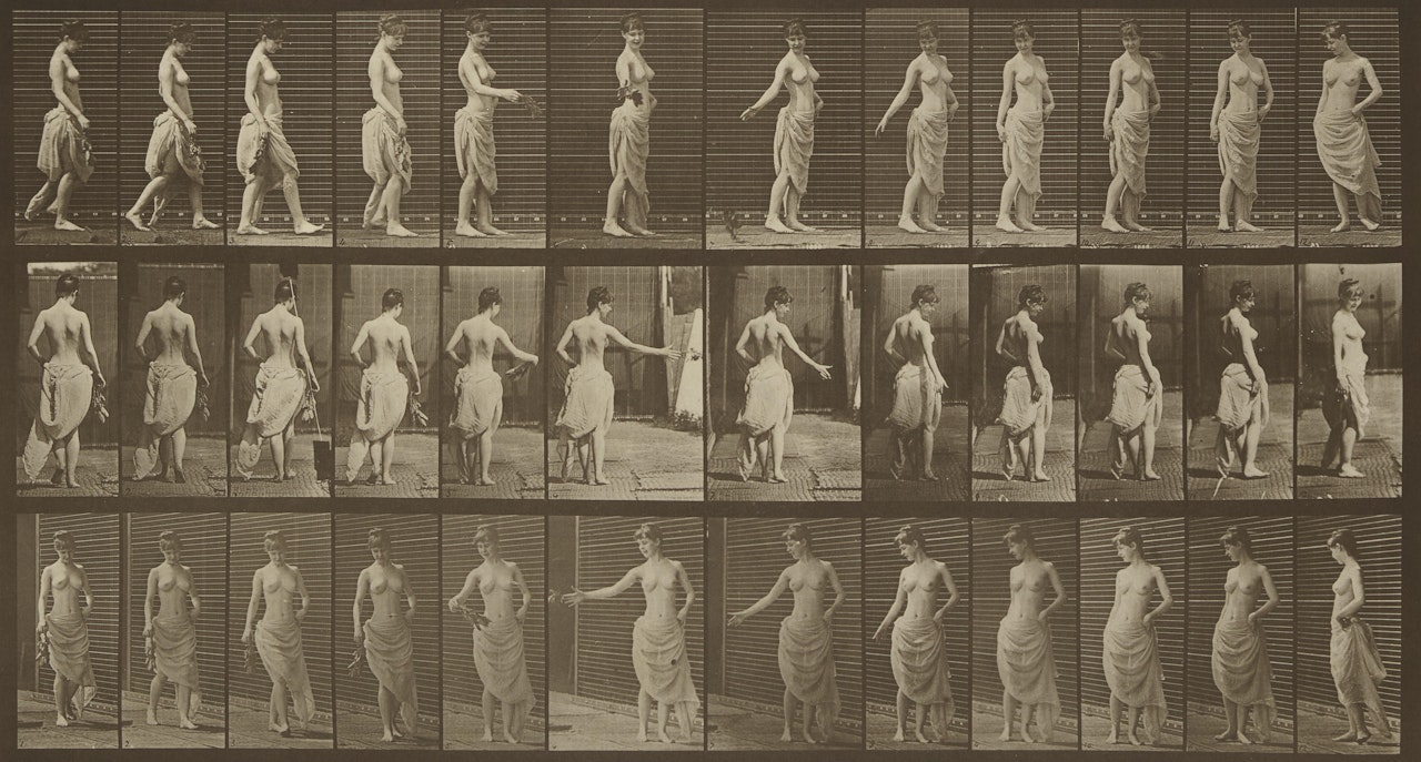 Plate 53 from 'Animal Locomotion' by Eadweard Muybridge