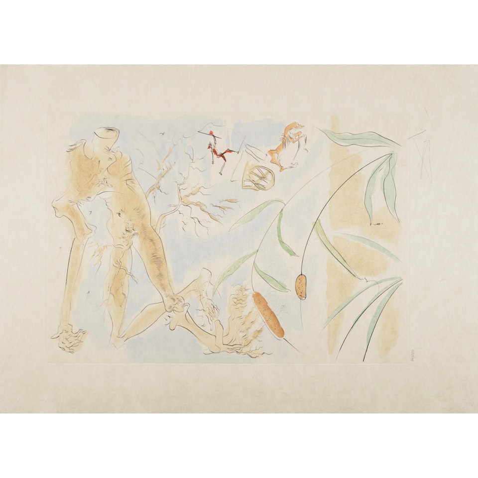 Le chêne et le roseau (The Oak and the Reed), from Le bestiaire de La Fontaine Dalinisé (La Fontaine's Bestiary Dalinized) by Salvador Dali