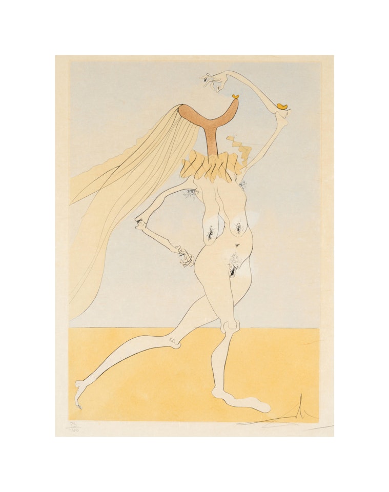 Quevedos visioner by Salvador Dali