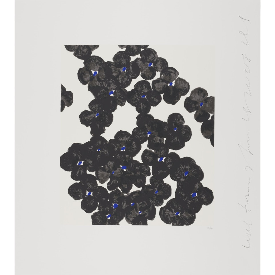 Wallflower 35, from Wallflowers by Donald Sultan