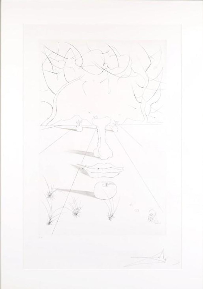 Visage surréaliste by Salvador Dali