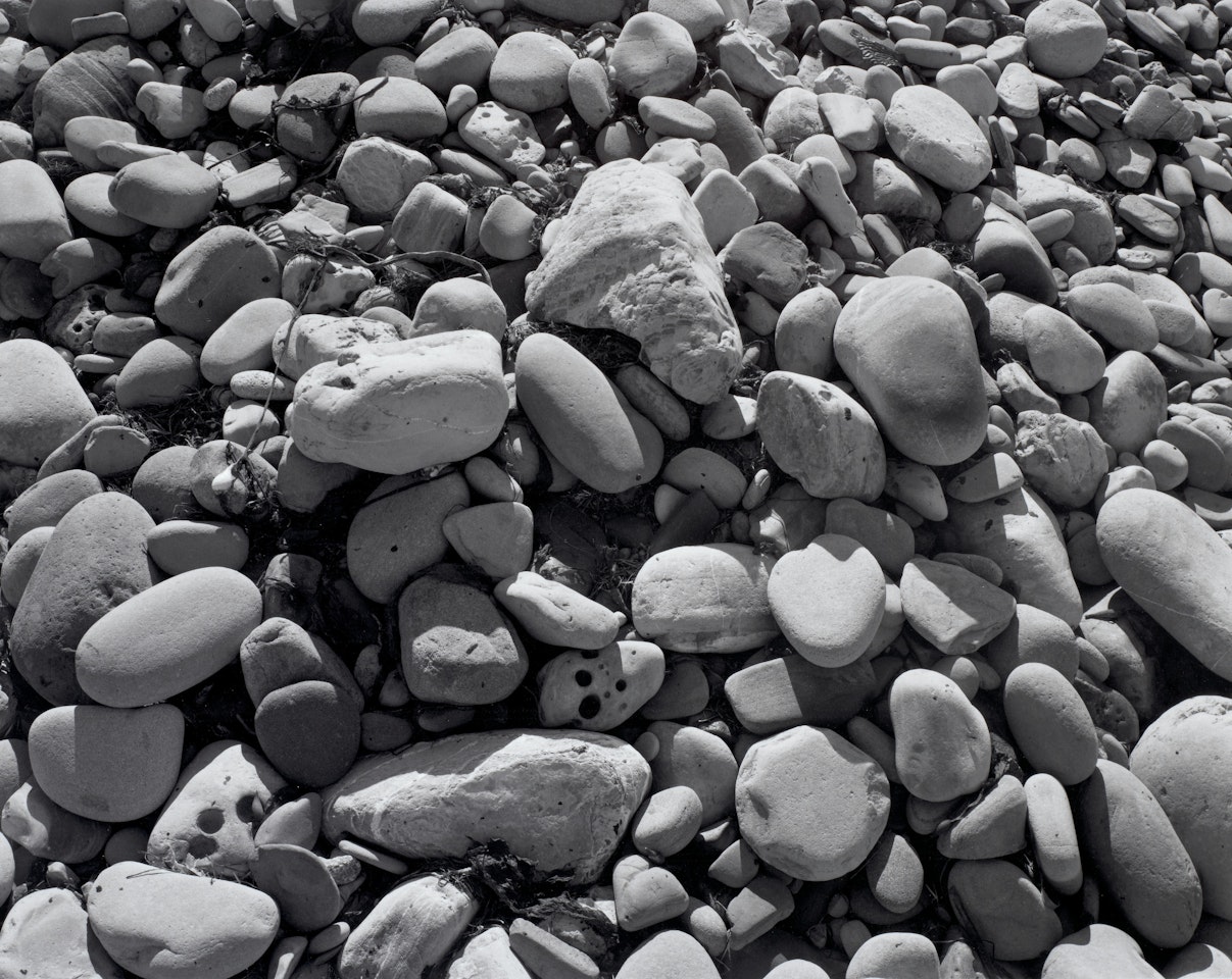 Ellwood Beach 25 by James Welling