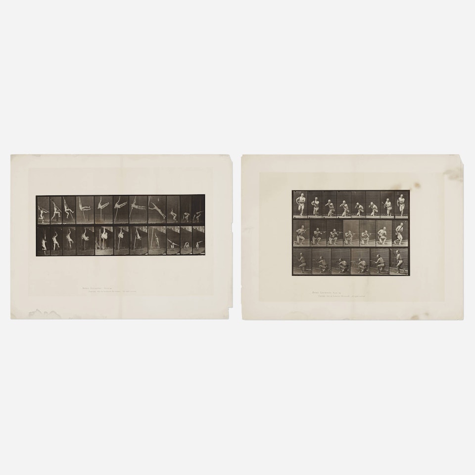 Plates 164 and 356 from the Animal Locomotion series (two works) by Eadweard Muybridge