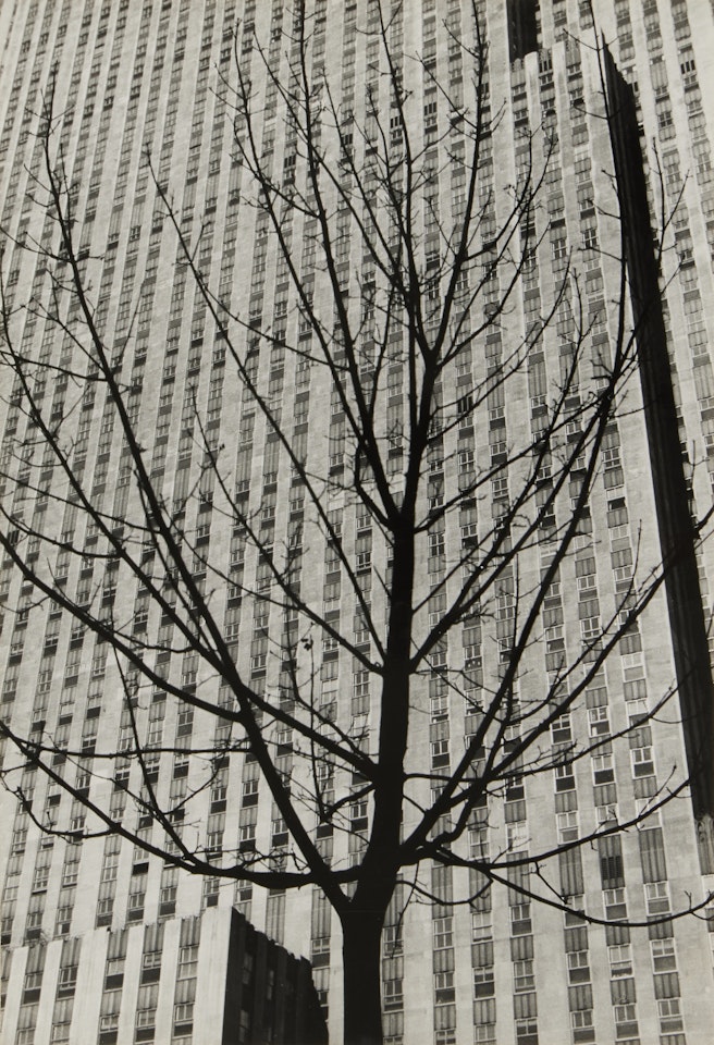 Untitled (Rockefeller Center) by André Kertész