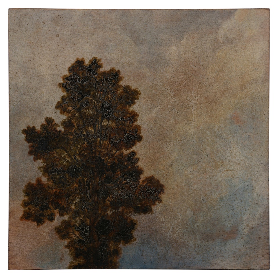 Untitled by Joan Nelson