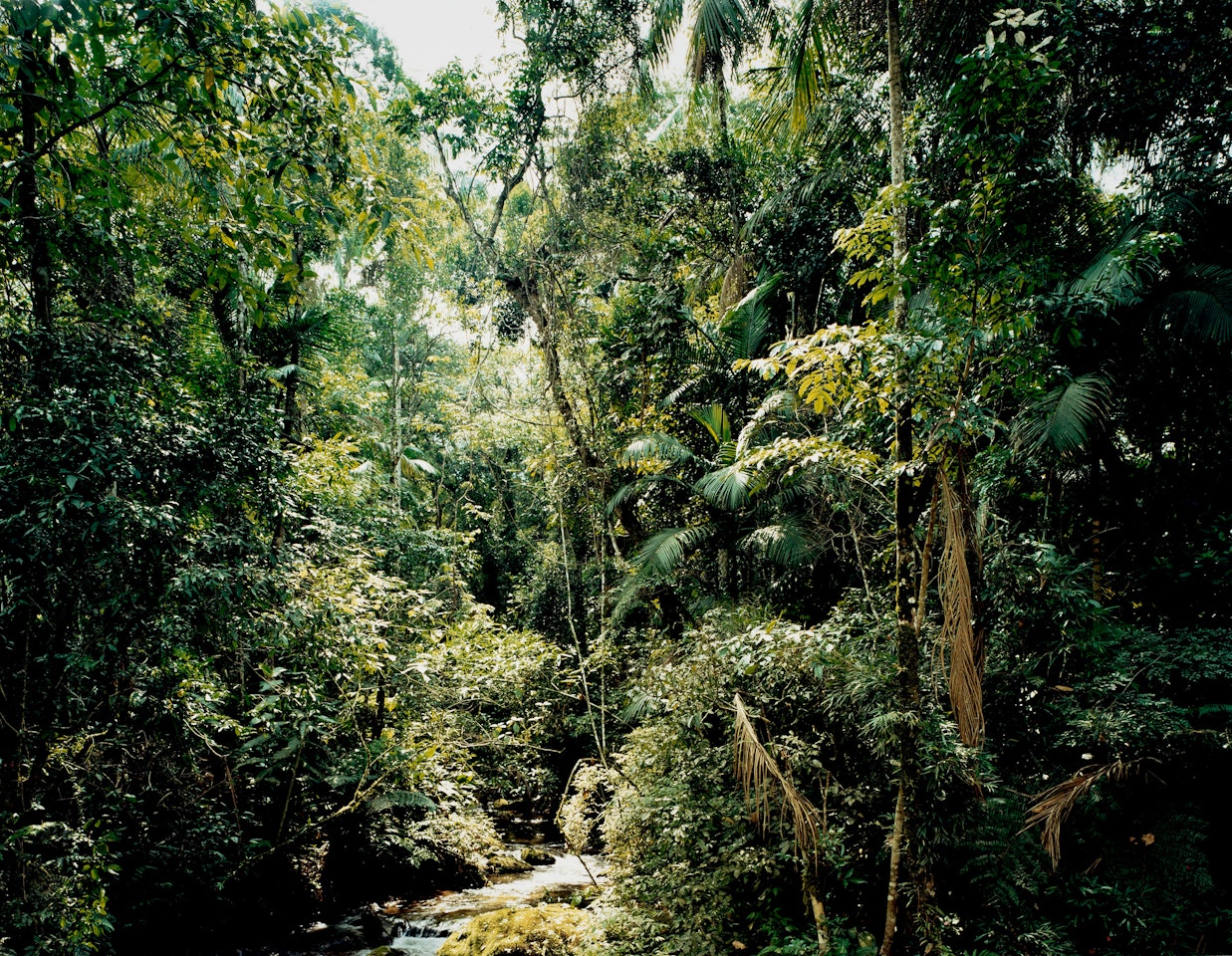 Sao Francisco de Xavier, Brazil by Thomas Struth