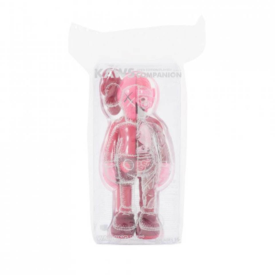 COMPANION (FLAYED) by Kaws
