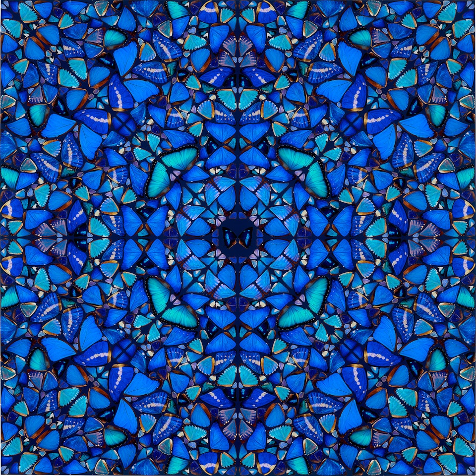 Patience, from The Aspects (H6-3) by Damien Hirst