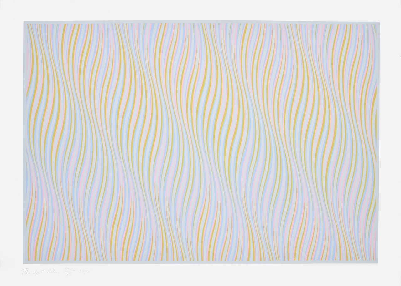 Untitled (Rose) (S. 27, T. & G. 28) by Bridget Riley
