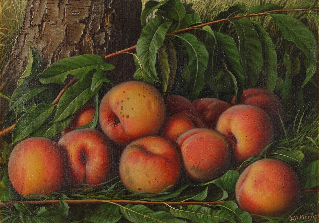 Peaches by Levi Wells Prentice