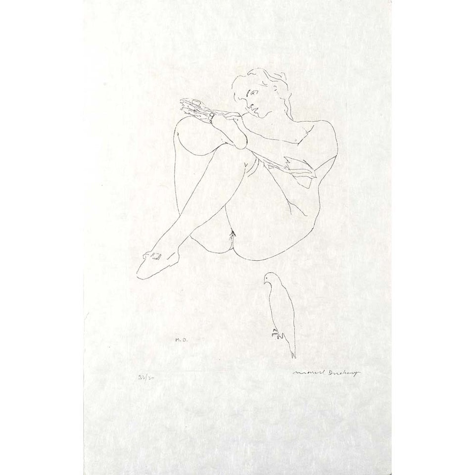 Pieces chosen after Courbet; "The large Glass and related works" by Marcel Duchamp