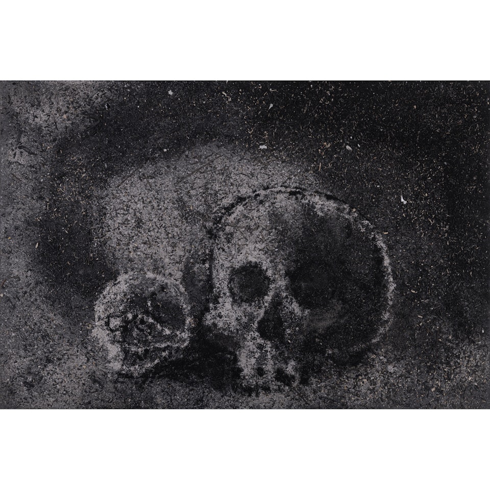 Skull no. 22 by Zhang Huan