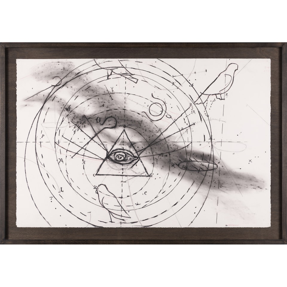 Drawing from Preparing the Flute (Outline of Birds and Eye) by William Kentridge