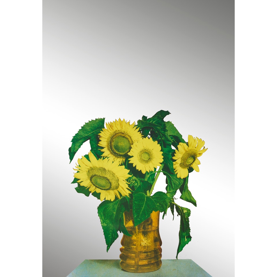 Tournesols (Girasoli) by Michelangelo Pistoletto