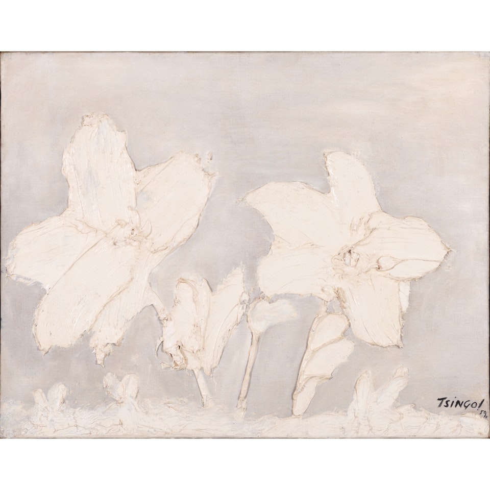Fleurs blanches sous fond blanc by Thanos Tsingos