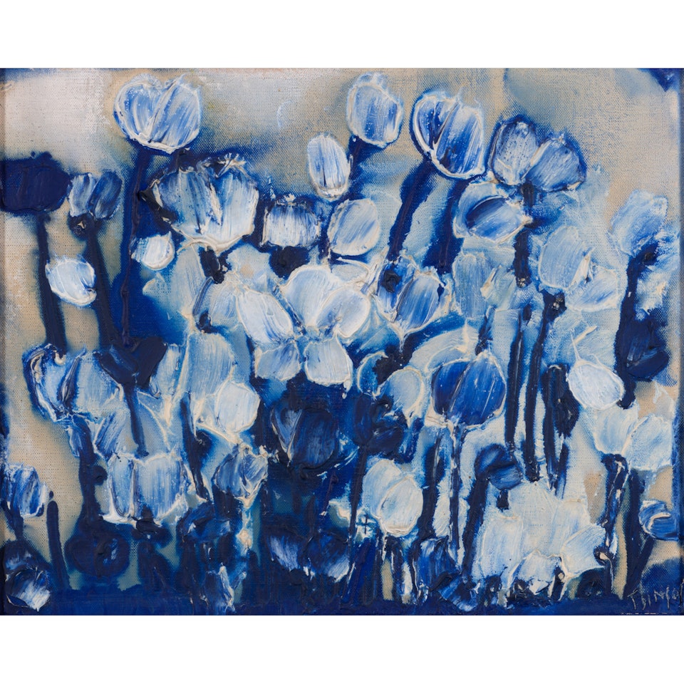 Composition aux coquelicots blancs by Thanos Tsingos