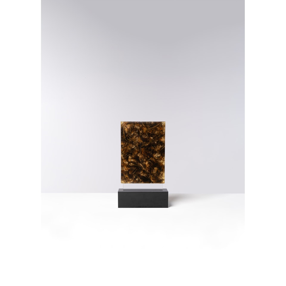 Accumulation de plumes by Arman