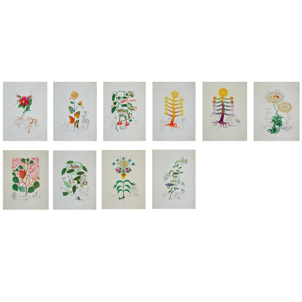 Flora Dalinae by Salvador Dali