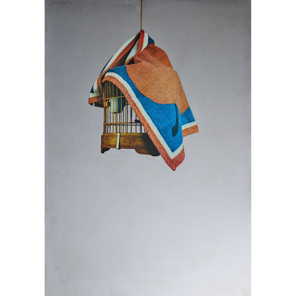 La gabbia by Michelangelo Pistoletto