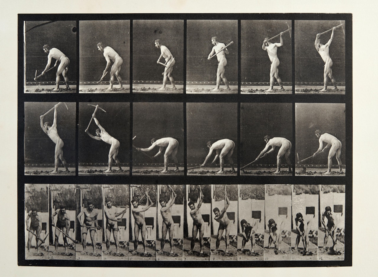 Plate 385, Farmer, Using Pick by Eadweard Muybridge
