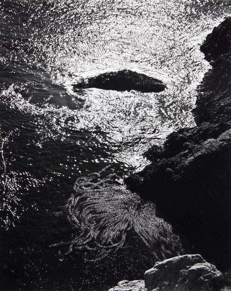 Kelp, China Cove, Point Lobos (Conger 1530) by Edward Weston